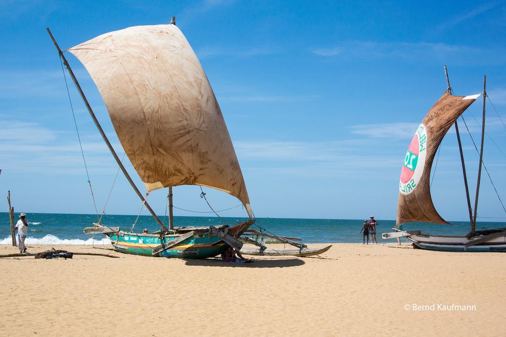 Suriya Arana Bed & Breakfast Negombo Exterior photo